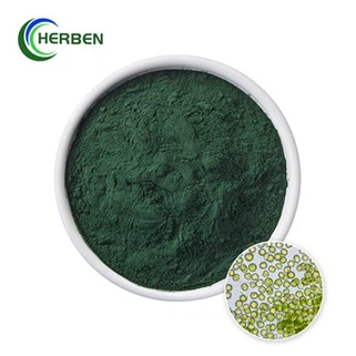 Čistý prášok Chlorella
